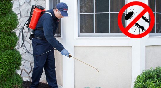 Yozgat Kene İlaçlama böcek ilaçlama ve haşere kontrolü — ilaclama-tr.com